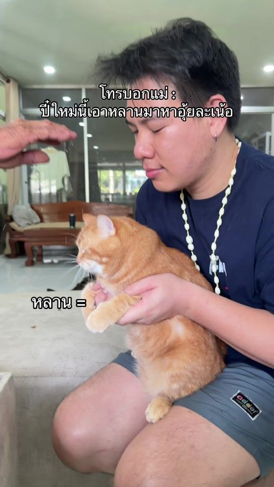 TikTok video thumbnail by ttangmo.s