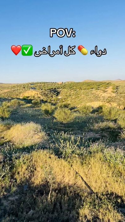 TikTok video thumbnail by badikh1