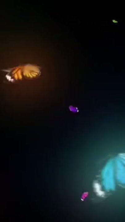 TikTok video thumbnail by mg_mg_lover91