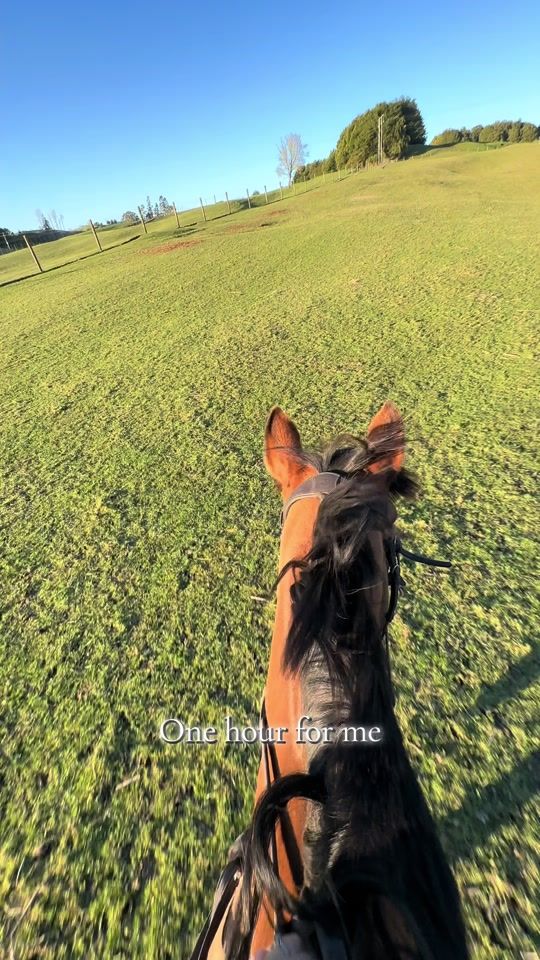 TikTok video thumbnail by hannahgracenz