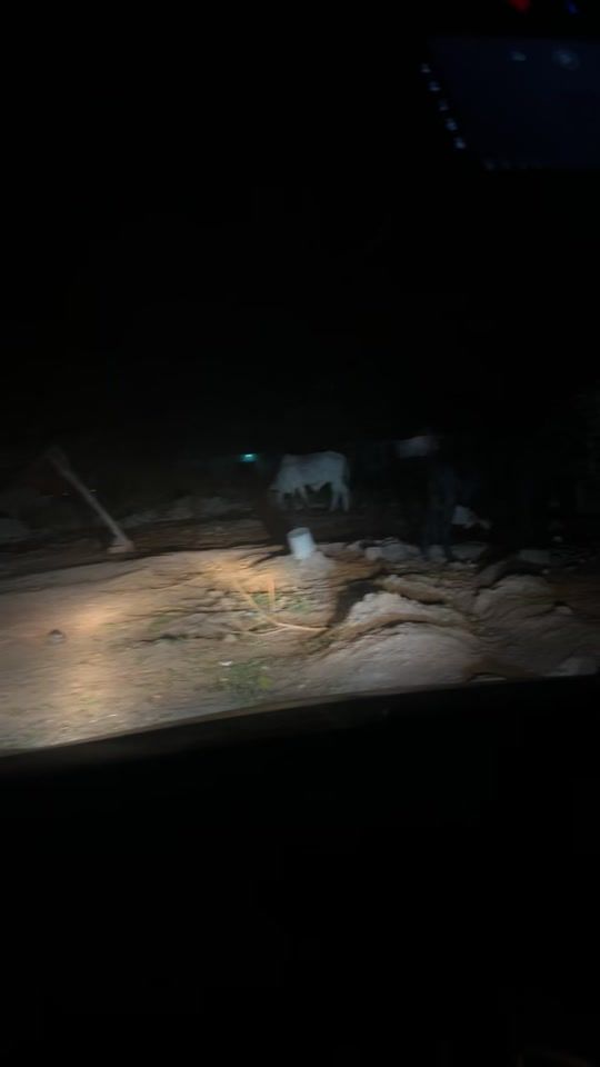 TikTok video thumbnail by younggrace_official1