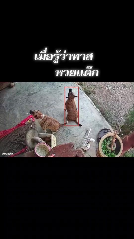 TikTok video thumbnail by nirun3333