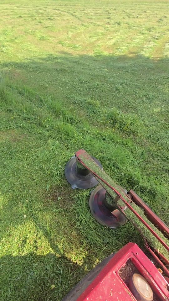 TikTok video thumbnail by goran.kovacevic396
