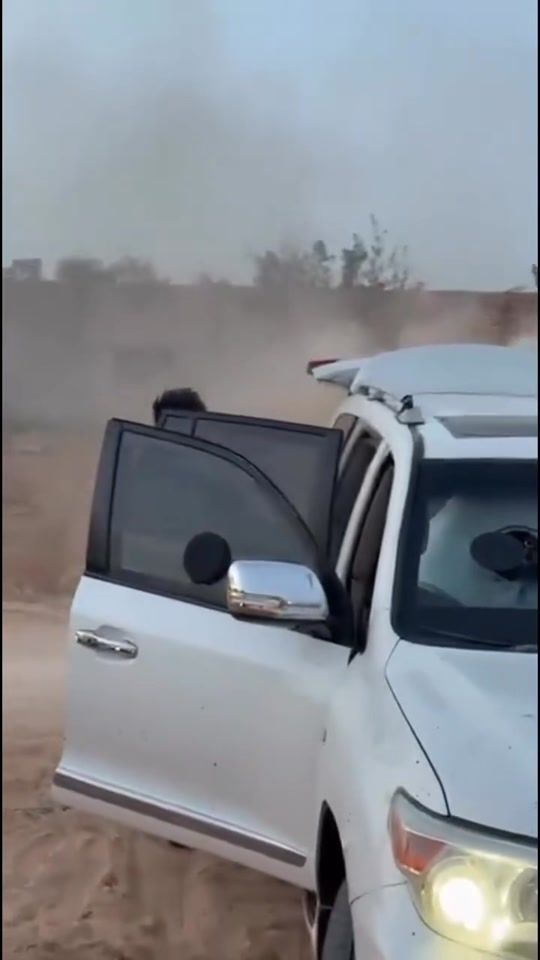 TikTok video thumbnail by ggygufyycc