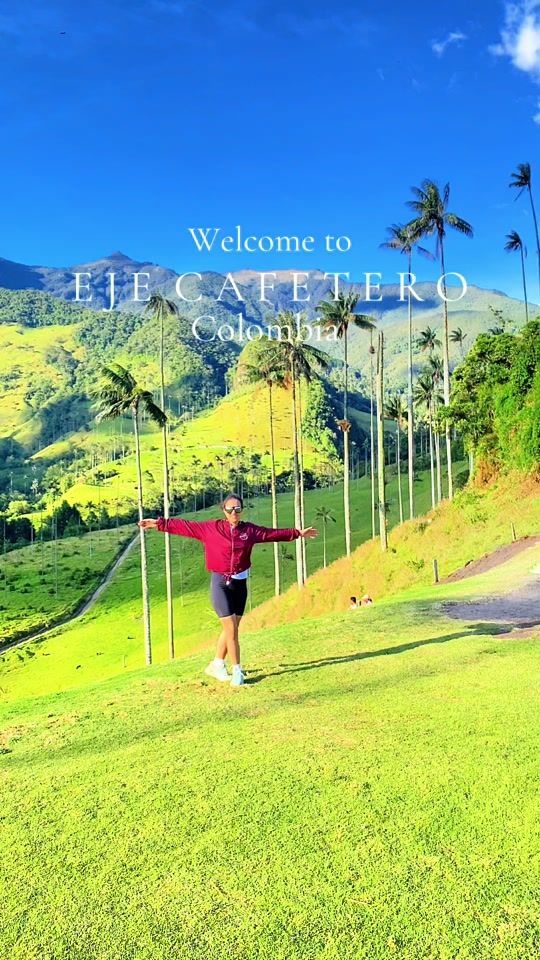 TikTok video thumbnail by ejecasaverde