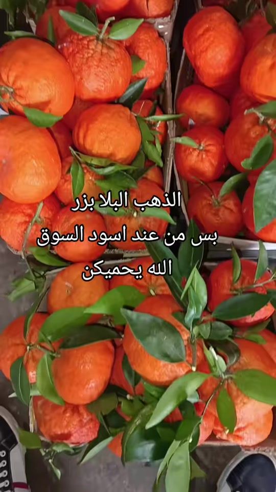 TikTok video thumbnail by aboukhalilklayme