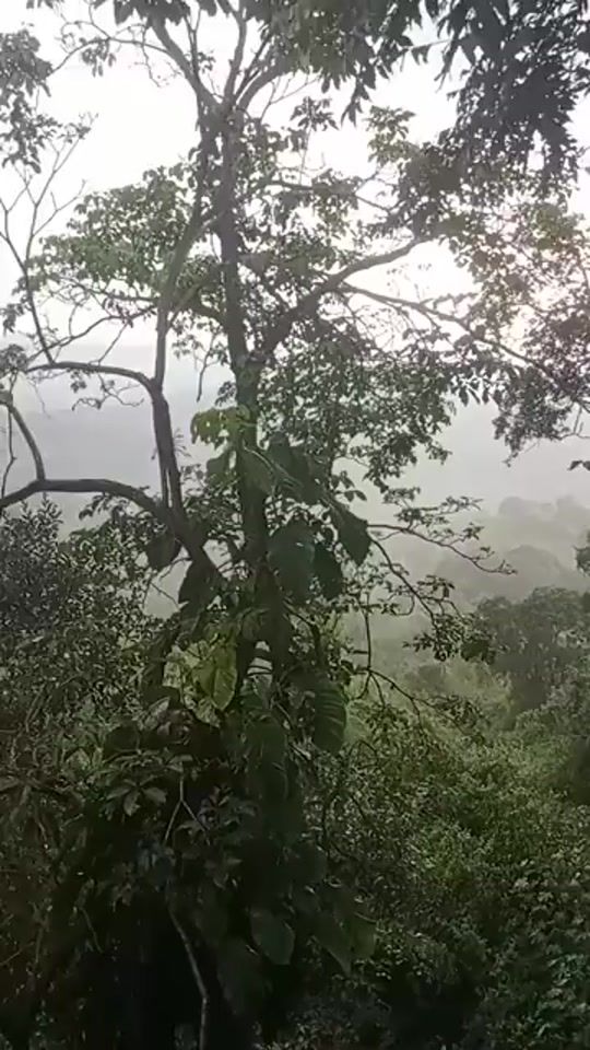 TikTok video thumbnail by teresa.gallegos11