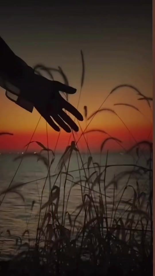TikTok video thumbnail by amy099003