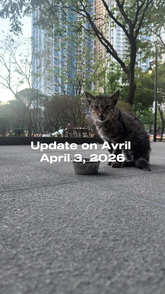 TikTok video thumbnail by chelseavlim