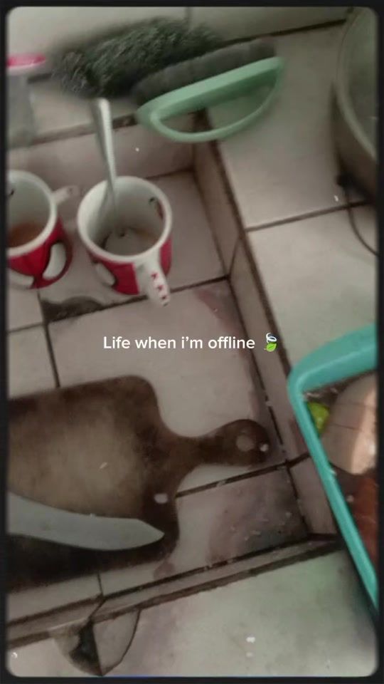 TikTok video thumbnail by alexcuervo08