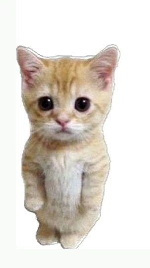 TikTok video thumbnail by 11original._.kim_clory