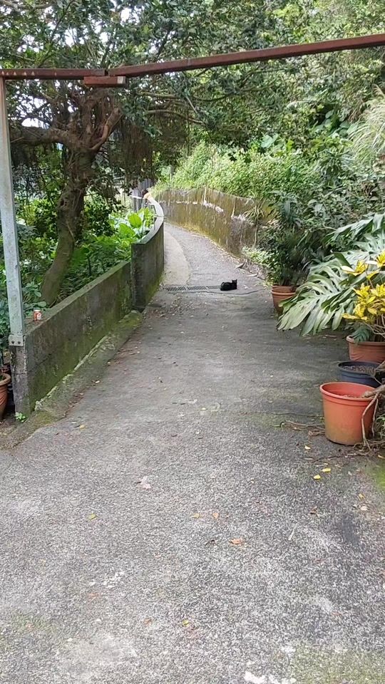 TikTok video thumbnail by dhammanimit