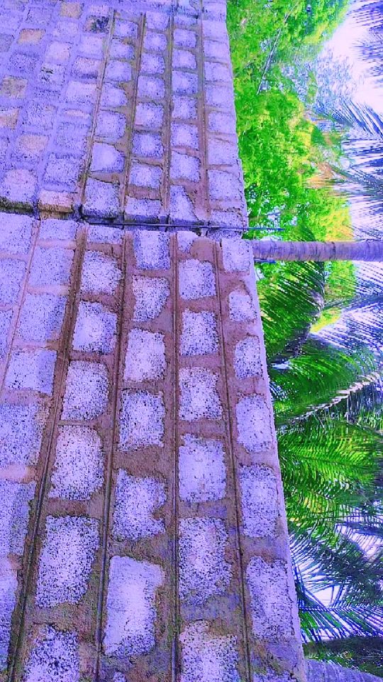TikTok video thumbnail by ssafeek122