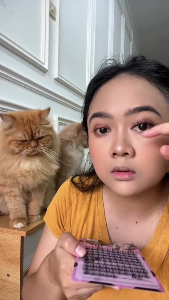 TikTok video thumbnail by kucingmilu