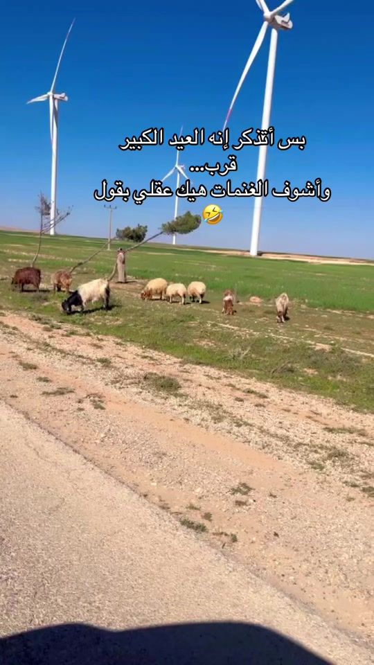 TikTok video thumbnail by emanaws22