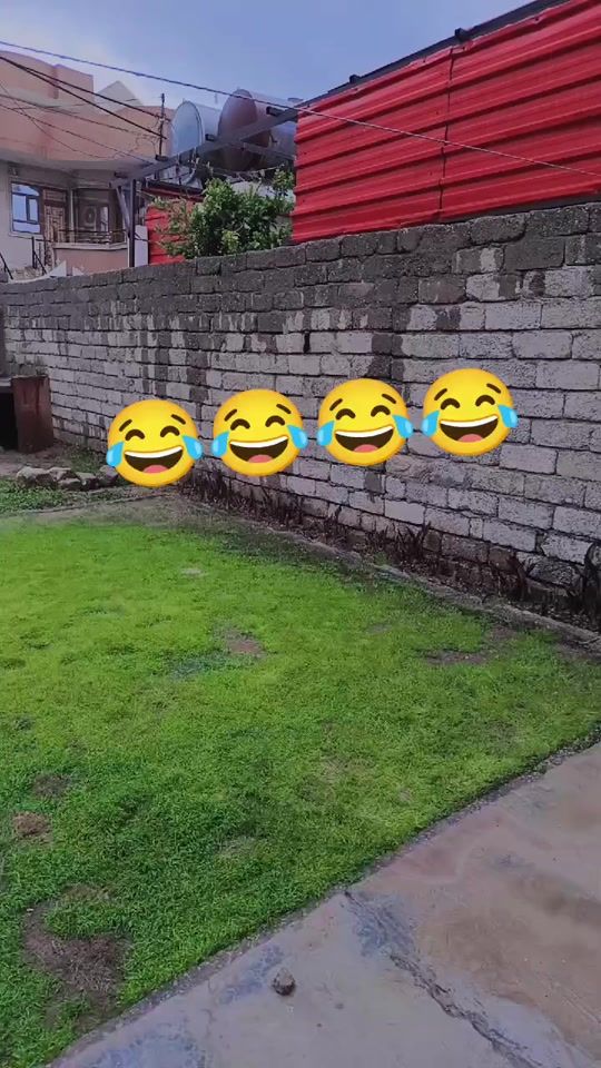 TikTok video thumbnail by omsedra2022