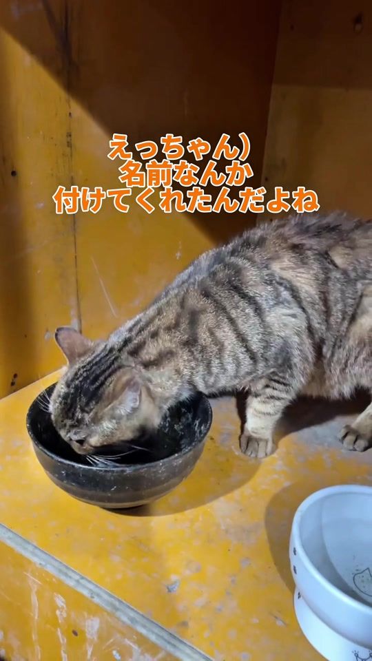TikTok video thumbnail by tmk_kensetsu