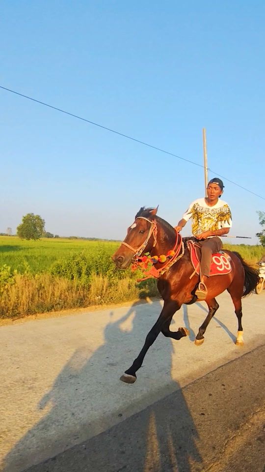TikTok video thumbnail by choloon0