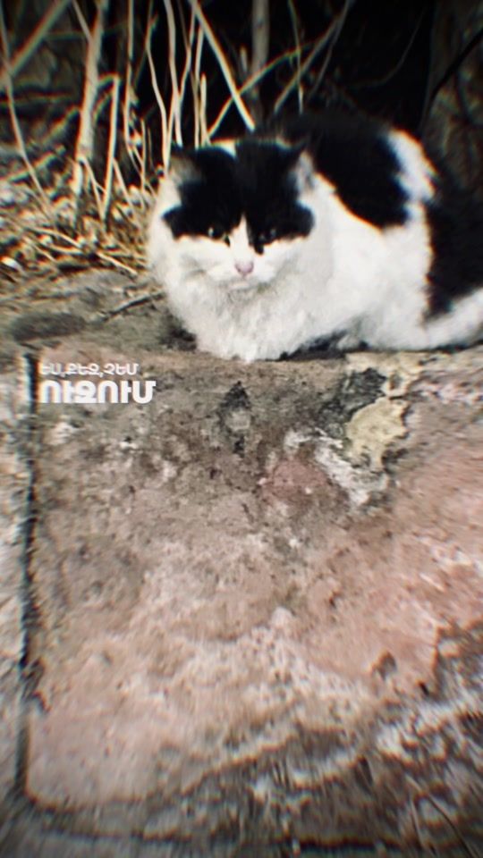TikTok video thumbnail by _s._a._x._d.__r_a_a_d_