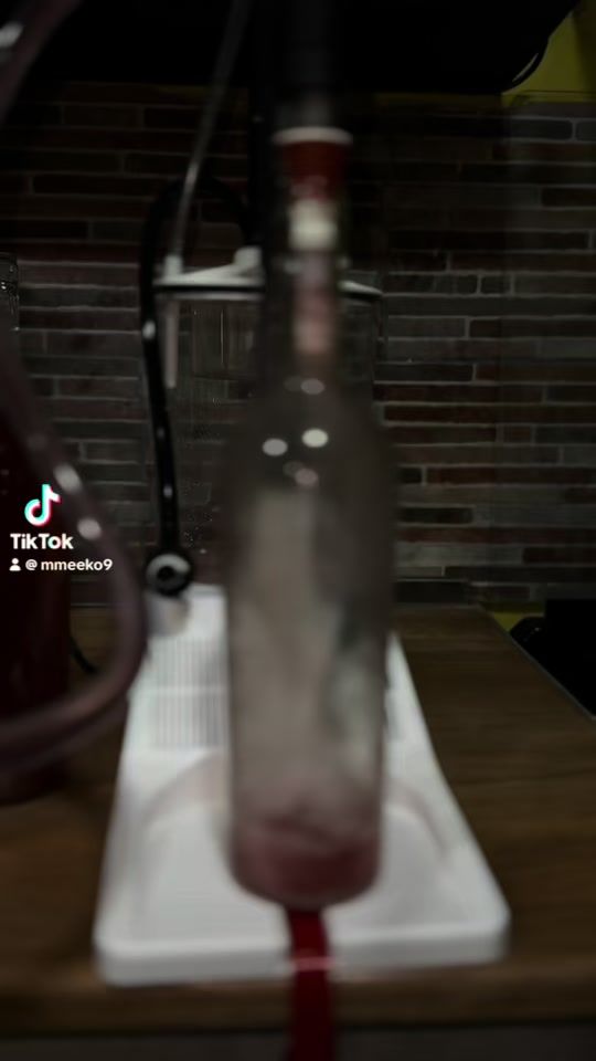 TikTok video thumbnail by mmeeko9