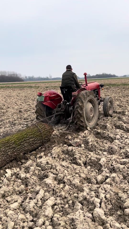 TikTok video thumbnail by uros_srb_