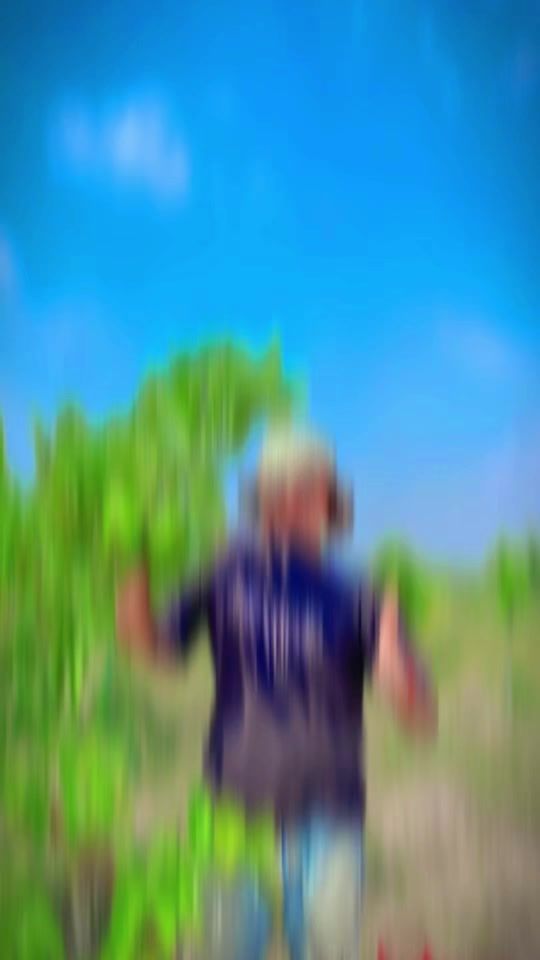 TikTok video thumbnail by bor.kh375