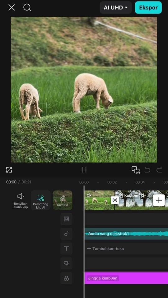 TikTok video thumbnail by fedrydwi_