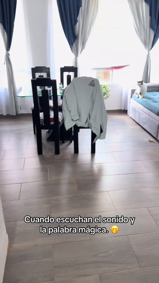 TikTok video thumbnail by jeffer_gonz_