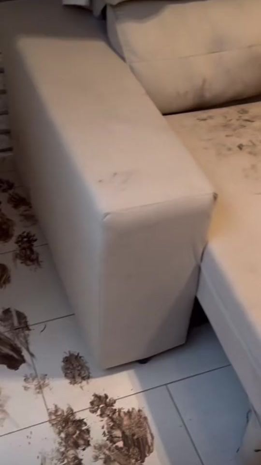 TikTok video thumbnail by richardhefners