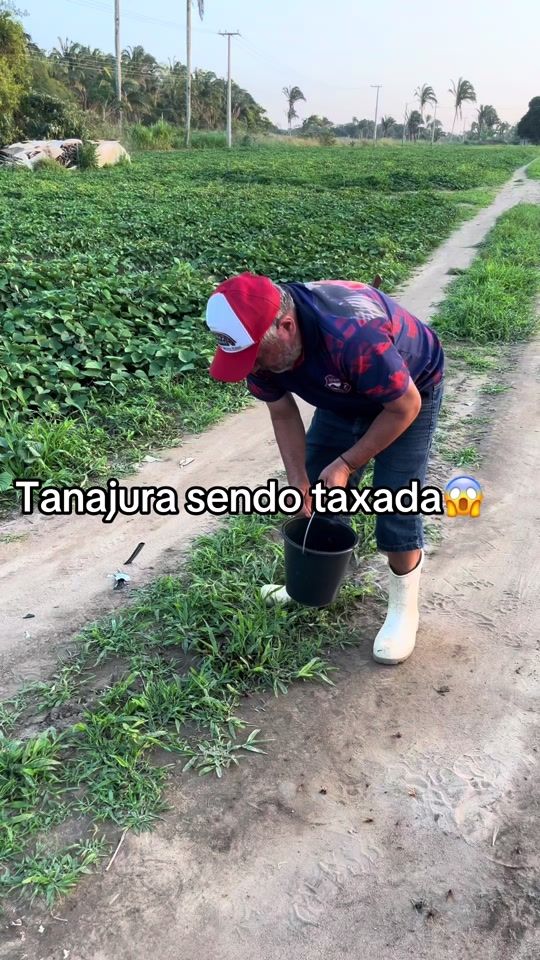 TikTok video thumbnail by canaltanaroca