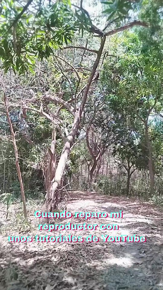 TikTok video thumbnail by _fighter_505