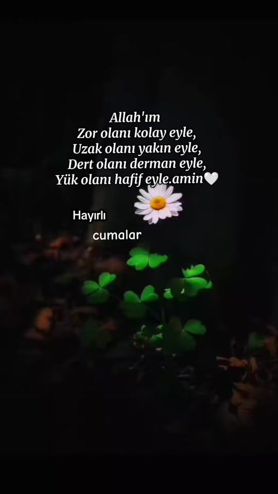 TikTok video thumbnail by gunes.altun