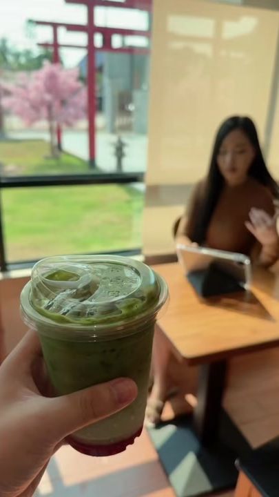 TikTok video thumbnail by olachanthavongsy
