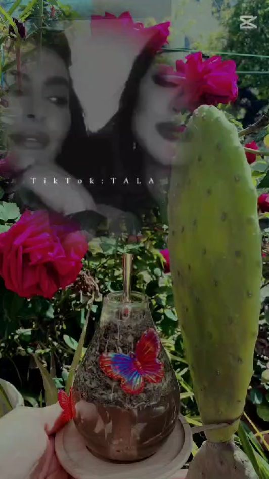 TikTok video thumbnail by ranimalzoabi
