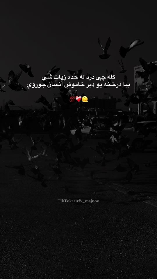 TikTok video thumbnail by urfv_majnon