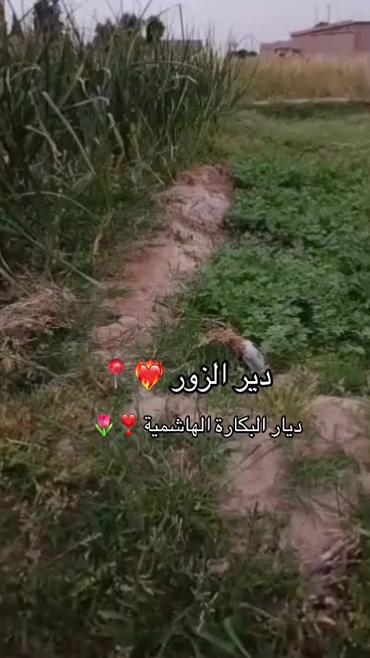 TikTok video thumbnail by saddam_515_s