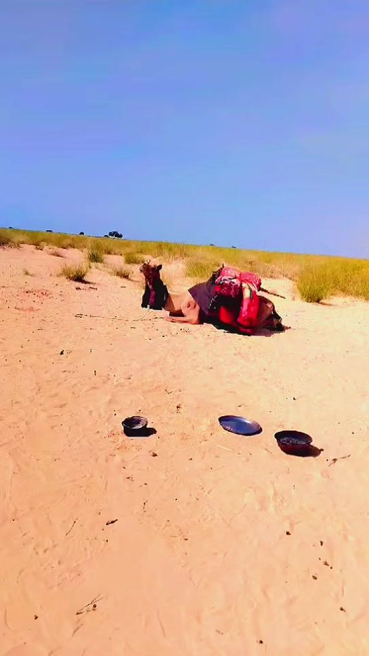 TikTok video thumbnail by boliyamisaharawi