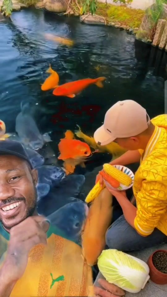 TikTok video thumbnail by kingalpha961