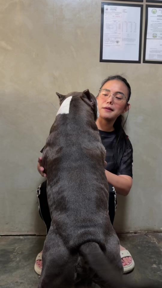 TikTok video thumbnail by annalhi
