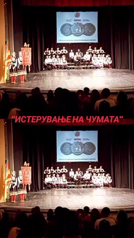TikTok video thumbnail by stojko.mitkovski