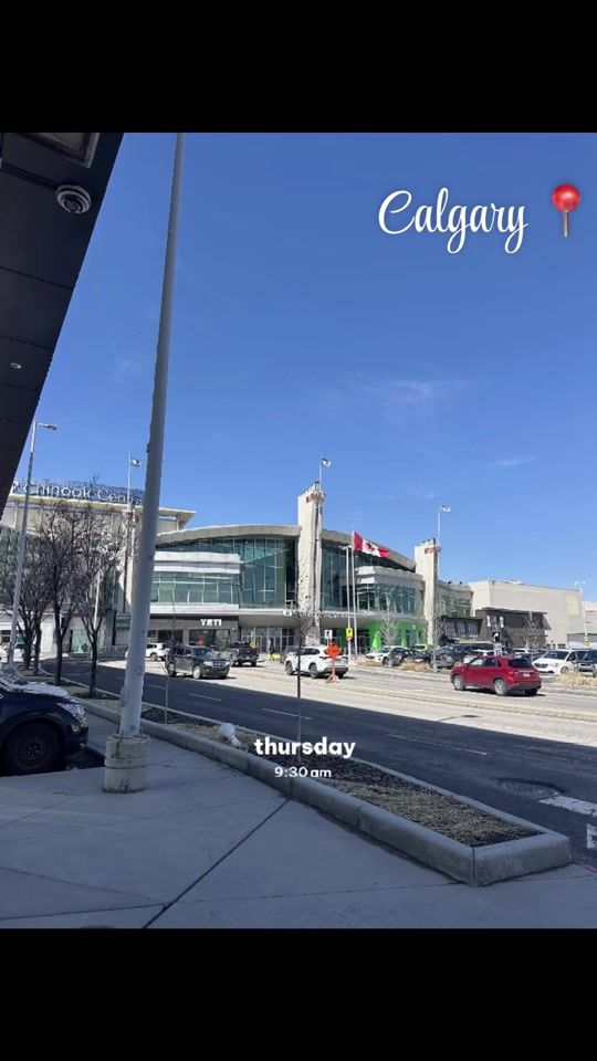 TikTok video thumbnail by kiwi_crew__