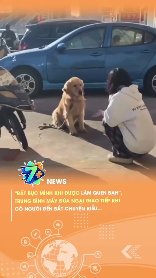 TikTok video thumbnail by 7plus.news