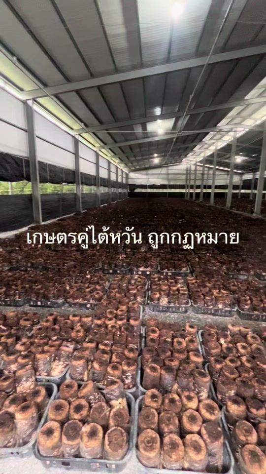 TikTok video thumbnail by kanompnd
