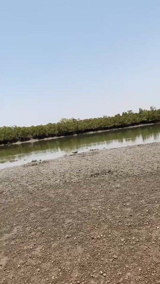 TikTok video thumbnail by 2005ucha