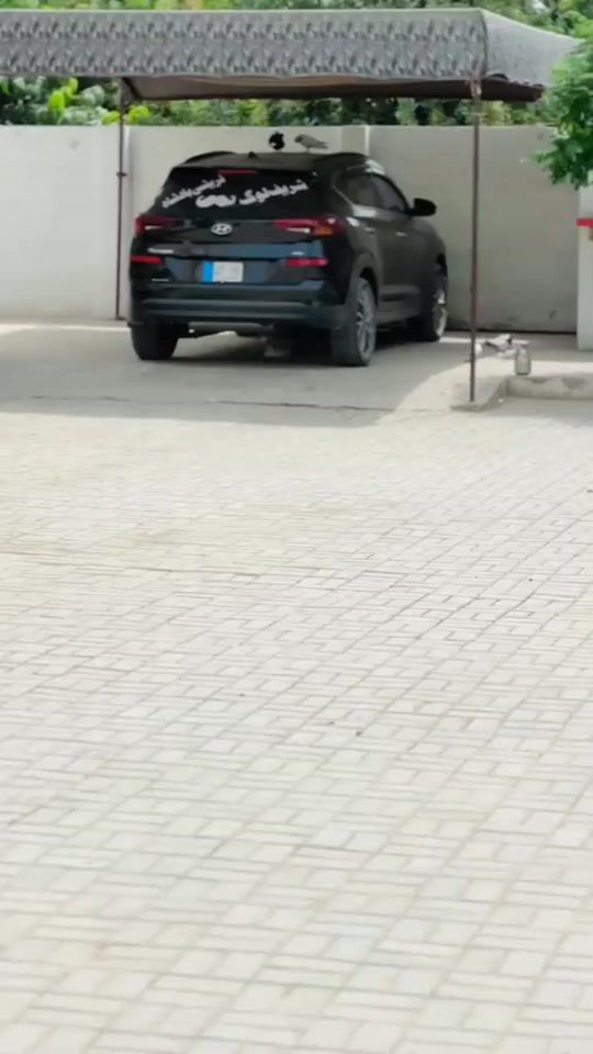 TikTok video thumbnail by sultan_qureshi555