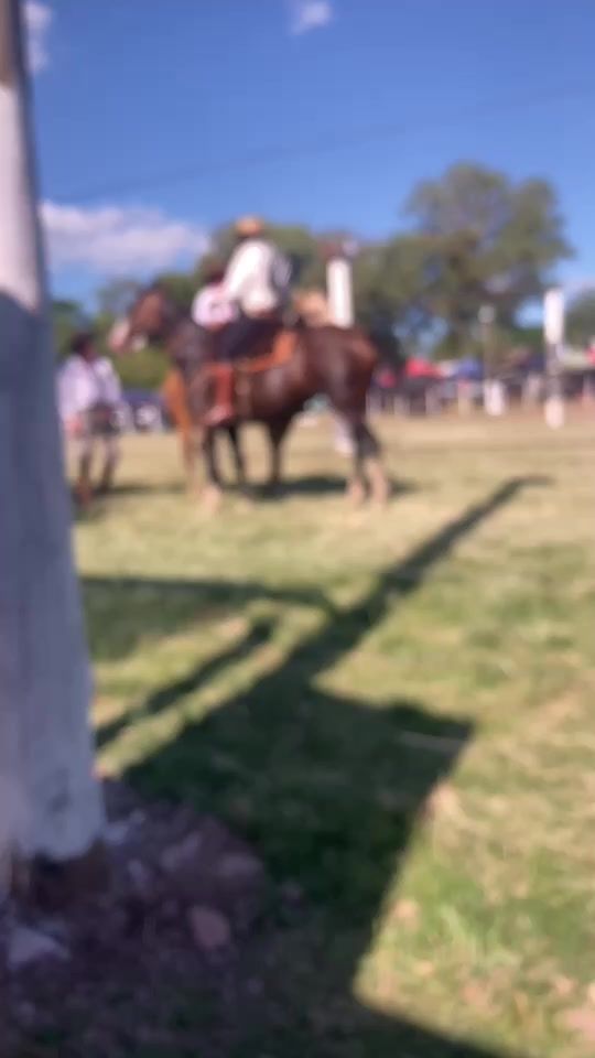TikTok video thumbnail by estebanalvez75