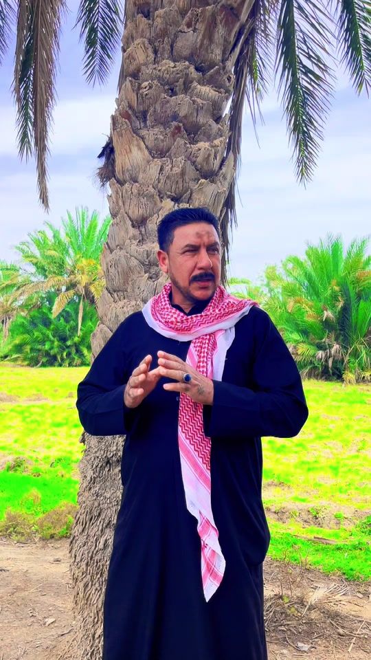 TikTok video thumbnail by adel.10m