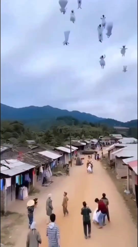 TikTok video thumbnail by hellsing249