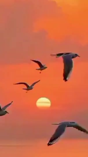 TikTok video thumbnail by jkaz_lyrics