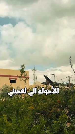TikTok video thumbnail by meso9